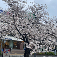 画像724