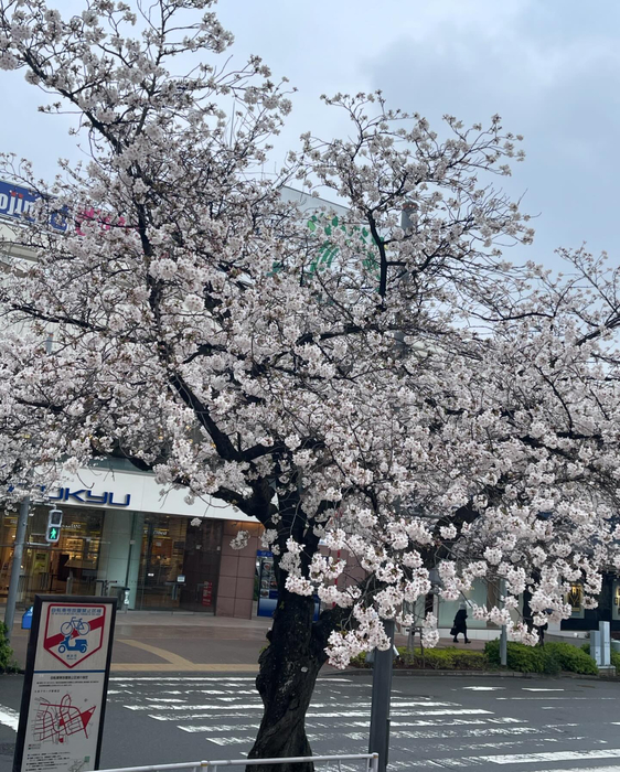 画像724