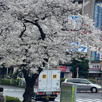 画像725