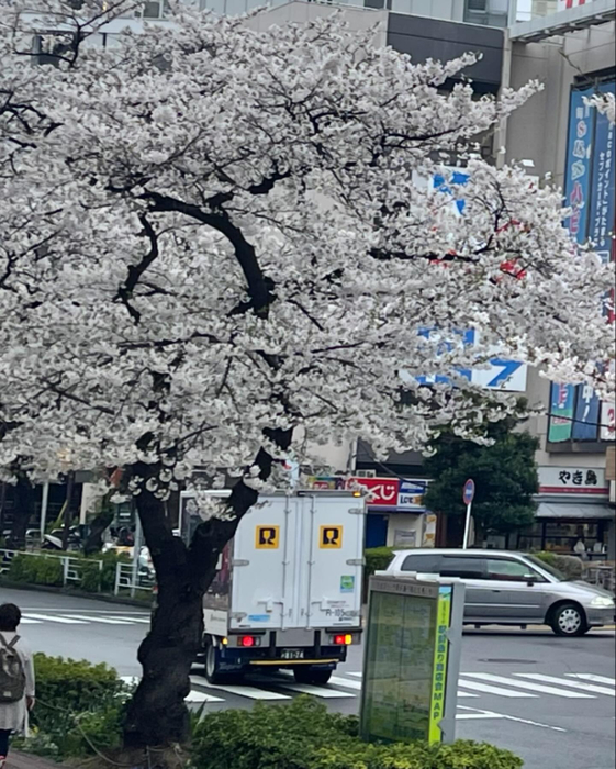画像725