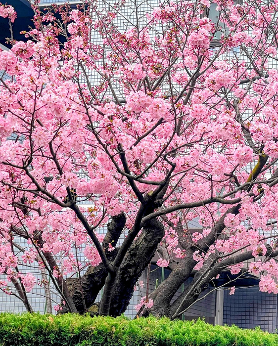 画像726